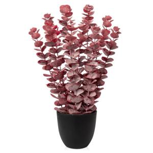 Kunstplant eucalyptus rode kunstplant als echte kamerplanten decoratieve planten in zwarte pot, hoogte 40 cm