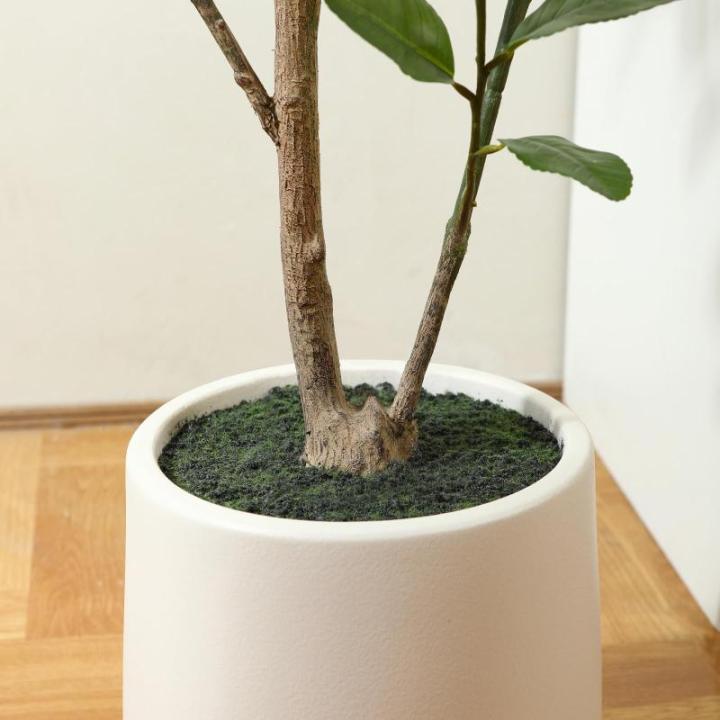 Citroenboom, , 180 cm, grote citroenboom met levensechte vruchten in witte pot, als echt voor moderne decoratie (1 stuks)