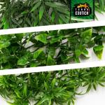 Kunstplant cannabis/hennep, hangplant voor terraria, als verstopplaats voor je terrarium, The Wind Claw Blaven, wijnstok 30-60 cm (medium 40 cm)