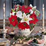 , kerstster, , Kerstmis, rode bessen, kerstdecoratie, zijden bloemen, roos voor Kerstmis, feesten