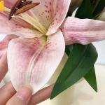 Kunstblumen Rosa Eva-Lilienstrauß – lebensechte künstliche Blumen in Einer Keramikvase für Wohnzimmer, Hochzeitsfeiern und Heimdekoration für jeden Anlass