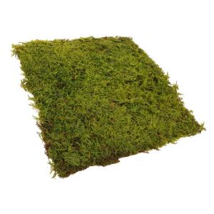 Kunstrasen kunstgras kunstgräser DIY Dekoration künstliches Gras deko Simulierte Rasenmatte Sandtisch, schneidbarer Rasen Zuschneidbare Matte für Sandtisch Perlenbaumwolle