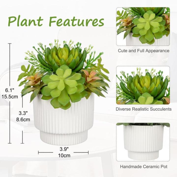 Kunstvetplanten, voor woondecoratie, 15,7 cm (15,7 cm), gepot, kunstvetplanten, in keramische potten, moderne voor binnen, voor badkamer, plank, kantoordecoratie