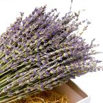 Lavendel Gedroogde lavendel boeketten 400+ stelen (40-45 cm) Voor wooncultuur, handwerk, cadeau, bruiloft of elke gelegenheid