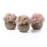 Plastic kunstmatige potplanten Baby's Tear decoratieve bloem voor thuis/kantoor decoratie roze, 3 stuks