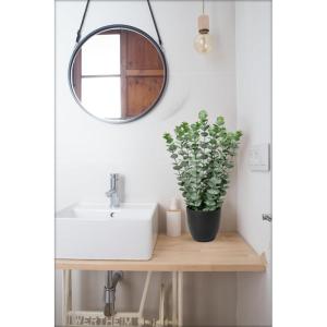 Kunstplant eucalyptus kunstplant lijkt op echte kamerplanten, decoratieve planten in zwarte pot, hoogte 40 cm