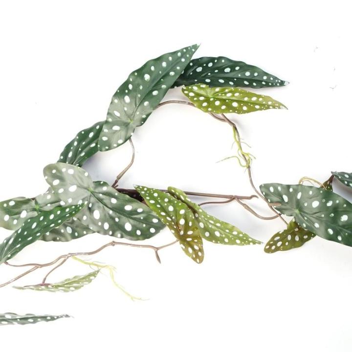 Ontwerp kunstmatige hangende planten