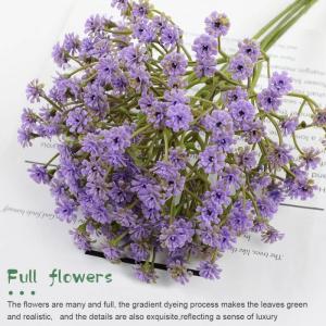 Gypsophila , 10 stuks Gypsophila-planten, voor bruiloft, bruidsboeket, thuis, knutselen en decoratie (paars)