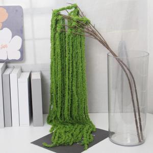 5pcs Amaranthus künstliche Blume lebensee hängende getrocknete Blumen 51 Zoll gefälschtes grün getrocknetes Amaranthus mit Abzweigblumen für die Dekoration Hochzeitsbouque Hau