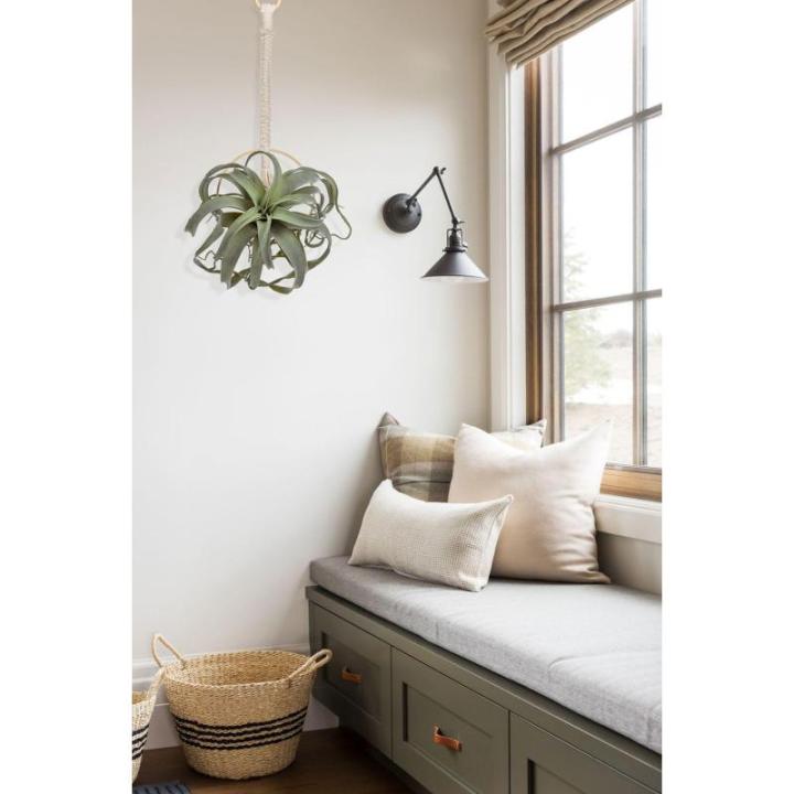 Hangende planten van 63,5 cm, kunstmatige luchtplanten, Tillandsia, kunstvetplanten met geweven katoenen touw, kunstmatige tillandsia kamerplanten, hangende nepplanten voor