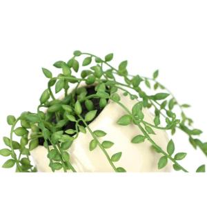 Senecio Kunstplant, hangplant, hangplant, vetplanten, wanddecoratie, kunstbloem, kunstplant, hangende hangende klimop, groene hanger, groene planten, kamerplant, decoratieve plant,