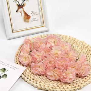 , anjer, 30 stuks, droogbloemen, decoratief, zijdemateriaal, blijven lang mooi, makkelijk in het onderhoud, goed voor feestjes, interieurstijlen of bruiloften (lichtroze)