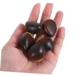 2 Sätze Schaumkastanie Gefälschte Früchte Prop Schaumfruchtmodell Künstliche Kastaniendekorationen Lebensechte Kastanien Simulationsnüsse Gefälschte Kastanien Coffee 30 Stüc