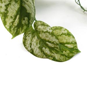 Ontwerp kunstmatige hangende planten