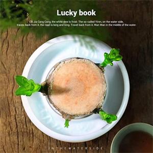 Brazilian Wood Plant,Mini Brazil Lucky Wood,Brazilian Lucky Wood Desk,Brazilian Lucky Bamboo Wood Hydroponic Potted Plant Stump,Office Desktop Plant (Lucky Wood+Doll-Color Random)