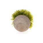 Kunstmatige grasplanten in pot, kunstplant, vetplanten, bureau-vensterbank, decoratieve badkamer, bonsai, kamerdecoratie, cadeau voor bruiloft, verjaardag, Kerstmis, set van 3
