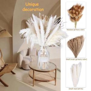 Pampas gedroogde bloemendecoratie, natuurlijk, 67 stuks, doe-het-zelf, gedroogde bloemen, boeket, ideaal voor boho, woonkamer, bruiloft, slaapkamer en vazen (LZGSGO-0102)
