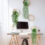 3 stuks kunstmatige hangplanten, eucalyptus, bladeren met potten, 63 cm lang, onderhoudsvrije kunstvetplanten, voor tuin, binnen en buiten (vetplanten)
