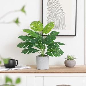 (groene stijl 1)