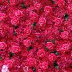 Blumen-Wandpaneel-Set, Künstlicher Wandblumen-Hintergrund, 3D-Seiden-Hortensien-Rosen-Blumenpaneel Für Fotohintergrund, Zuhause, Party, Hochzeit, Hintergrunddekoration(3M*3M)