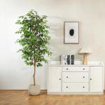 Ficus Benjamina , groot, 210 cm, met natuurhouten stam, kamerplant, kunstboom in pot, voor thuis, kantoor, balkon, decoratie (1 stuks)