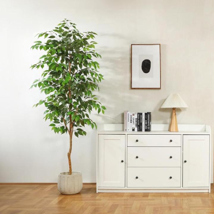 Ficus Benjamina , groot, 210 cm, met natuurhouten stam, kamerplant, kunstboom in pot, voor thuis, kantoor, balkon, decoratie (1 stuks)