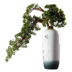 Künstlicher Bonsai-Baum Künstlicher Bonsai-Baum, neuer grüner Simulations-Willkommens-Kiefer-Bonsai-Baum im chinesischen Stil, große Innendekoration, Simulation einer Topfpflan