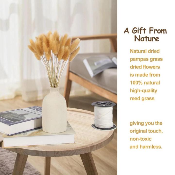 Pampas gedroogde bloemen, decoratie, natuur, 63 stuks, doe-het-zelf, gedroogde bloemen, boeket, ideaal voor boho, woonkamer, slaapkamer, vazen (LZGSGO-0103)