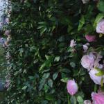 Simulation Blumenwand Hintergrundwand Grüne Pflanzwand, 5D-Hochzeitshintergrundsimulation Rosentuchhintergrund Outdoor-Event Hochzeitsarrangement Pflanzenwand Für Fotohintergrund
