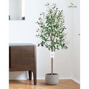 150cm künstliche Olivenbäume, nur für den Innenbereich mit lebendigem Stamm, verstellbarem Zweig und prallen Oliven, deko für Büro, Laden, Wohnung und Party