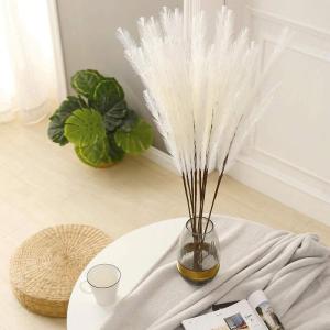 5 stks Kunstbloemen, Pampas Gras Larg Ascendant Gras Nep Bloemen Gras voor Bruiloft Boeketten Home Party Hotel Centerpieces Decoraties, Beige