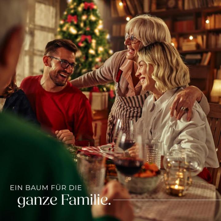 Künstlicher Weihnachtsbaum, dichter Tannenbaum künstlich, flexibel biegbare künstliche Tannenzweige, inkl. Stahlbaumständer, Weihnachtsbaum als Weihnachtsdeko, grün - 230 cm, 