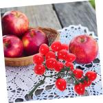 16 STK Simulierte Kirschtomaten Obst-Requisite Mini-Cherry-Tomaten Simulation Kirschtomaten Künstliche Kirschtomaten Kirschtomatenmodell Hausbedarf Lebensechte Tomaten PVC Rot