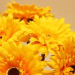12 STKS Kunstmatige Gerbera Bloem Enkele Stam Bloei Boeket Plastic Zijde Nep Decoratieve Flora Outdoor Indoor Thuis Tuin Kantoor Hotel Bruiloft Party Geel