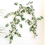 Simuliertes Gänseblümchen-Rattan, Dekoriert Mit Rattanblumen Aus Heizungsrohren, Wandpflanzen Zur Beschattung, Länge 170 cm(Roze)