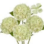 4 stuks hortensia kunstbloemen ivoor, Ø 19 cm, kunstbloemen, hortensia, als echt voor bruidsboeketten, huis, kantoor, hotel, feestdecoratie, middenstukken, bloemstukken, bloemstuk