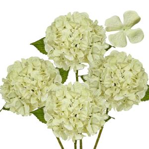 4 stuks hortensia kunstbloemen ivoor, Ø 19 cm, kunstbloemen, hortensia, als echt voor bruidsboeketten, huis, kantoor, hotel, feestdecoratie, middenstukken, bloemstukken, bloemstuk