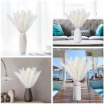 Gedroogde pampasdecoratie, gedroogde bloemen, natuurlijk, doe-het-zelf, droogbloemen, boeket, ideaal voor boho, woonkamer, bruiloft, slaapkamer en vazen (LZGSGO-0109)