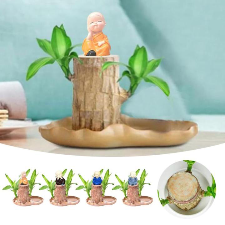 Braziliaans gloeiend hout, Braziliaanse houten plant, mini gelukshhout uit Braziliaanse houten plant met monnikstandbeelden, desktopplant, Braziliaanse houtplant, stomp