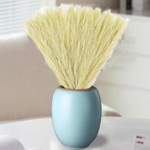 Künstliches Pampasgras, 30 Stück, natürliches getrocknetes Pampasgras für Vase, Pampasgraspflanze für Blumenstrauß, Phragmiten, Hochzeitsdekoration