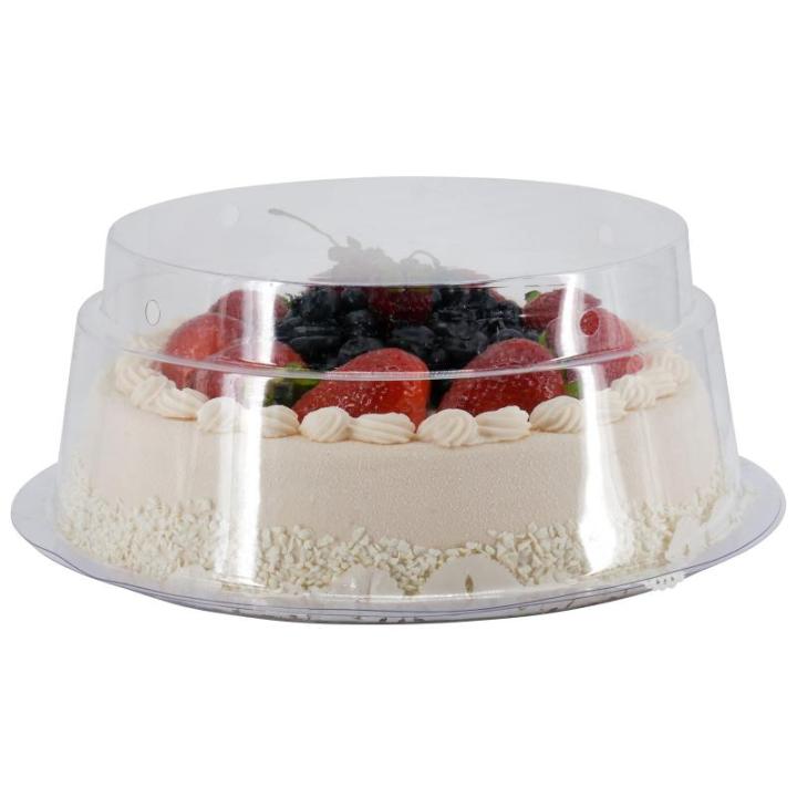 Levensechte levensmiddelen dummy - gebak - food dummy/plastic eten - decoratie (taart bosbessen - 22 x 10 cm)