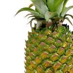 Authentieke ananas sculptuur, kunstfruitdecoratie voor thuis, elegant ornament, 9 cm x 21 cm
