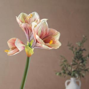 Amaryllis 68 cm roze I amaryllis kunstmatig met natuurgetrouwe bloemen I hoogwaardige en stijlvolle Real Touch kunstamaryllis I kunstbloem amaryllis ideaal als indoor- of kerstdeco