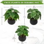 Set van 3 als echte kunstkamerplanten, decoratieve planten voor woonkamer, badkamer, hoogte ca. 15 cm, in zwarte keramische pot