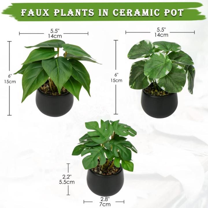 Set van 3 als echte kunstkamerplanten, decoratieve planten voor woonkamer, badkamer, hoogte ca. 15 cm, in zwarte keramische pot