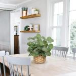 Kunstplant eucalyptus decoratie, kunstmatige eucalyptus in pot, decoratieve plant, kamerplanten