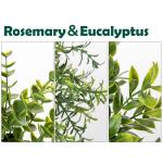 Set van 3 kleine planten in potten, , echte eucalyptus, mini-kunstrozemarijn, kunstmatige varenplant, sluierkruid, klein met potten, tafeldecoratie, thuis, balkon, kantoor decorati