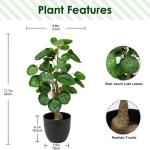 45 cm kleine , in pot, decoratieve planten in pot, zoals echt, Chinese geldplant, plastic planten voor woonkamer, slaapkamer, kantoor, decoratie