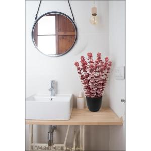 Kunstplant eucalyptus rode kunstplant als echte kamerplanten decoratieve planten in zwarte pot, hoogte 40 cm