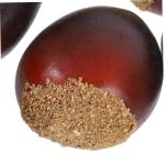 3 Sätze Schaumkastanie Simulationsnüsse Künstliche Kastaniendekorationen Kastanien-tischstreuung Künstliche Küchennahrung Schaumfruchtmodell Falsche Nuss Coffee 30 Stück * 3